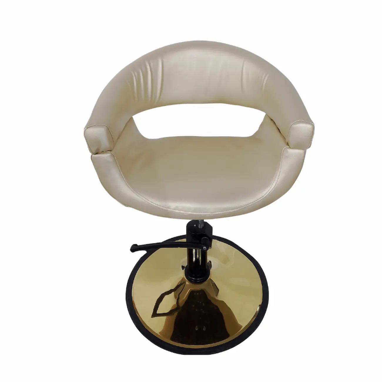 #1067BG Styling Chair - Image 4