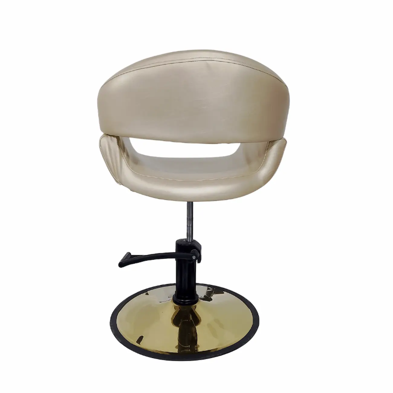 #1067BG Styling Chair - Image 5