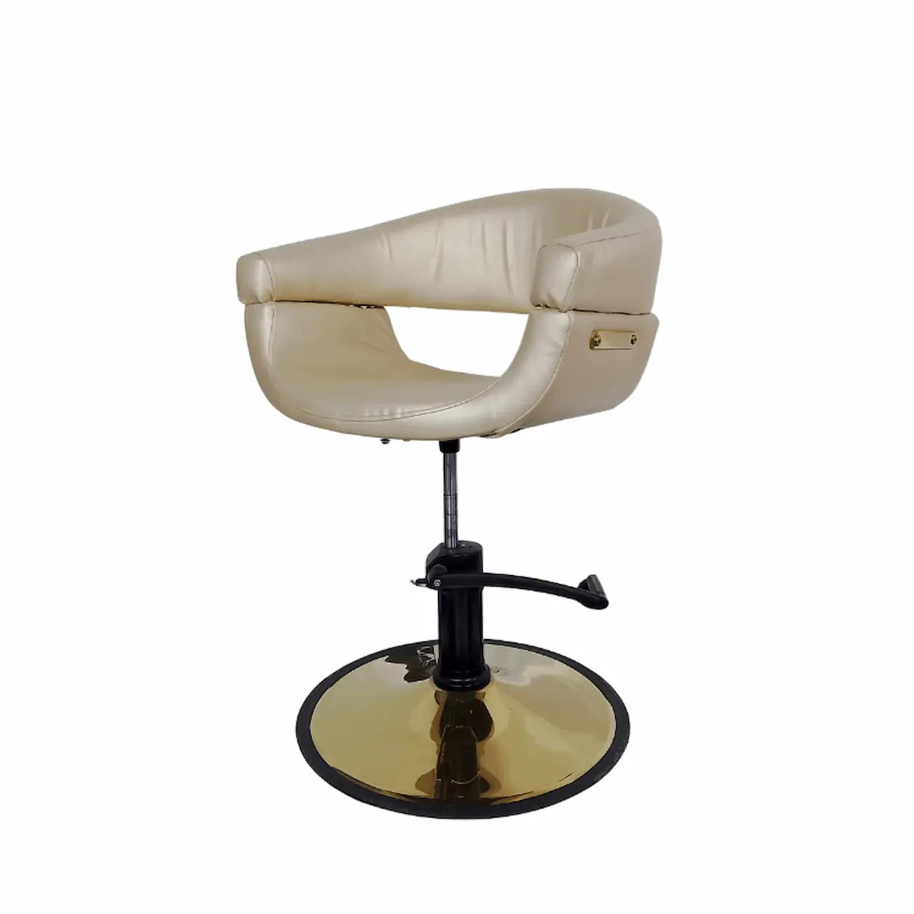 #1067BG Styling Chair - Image 2