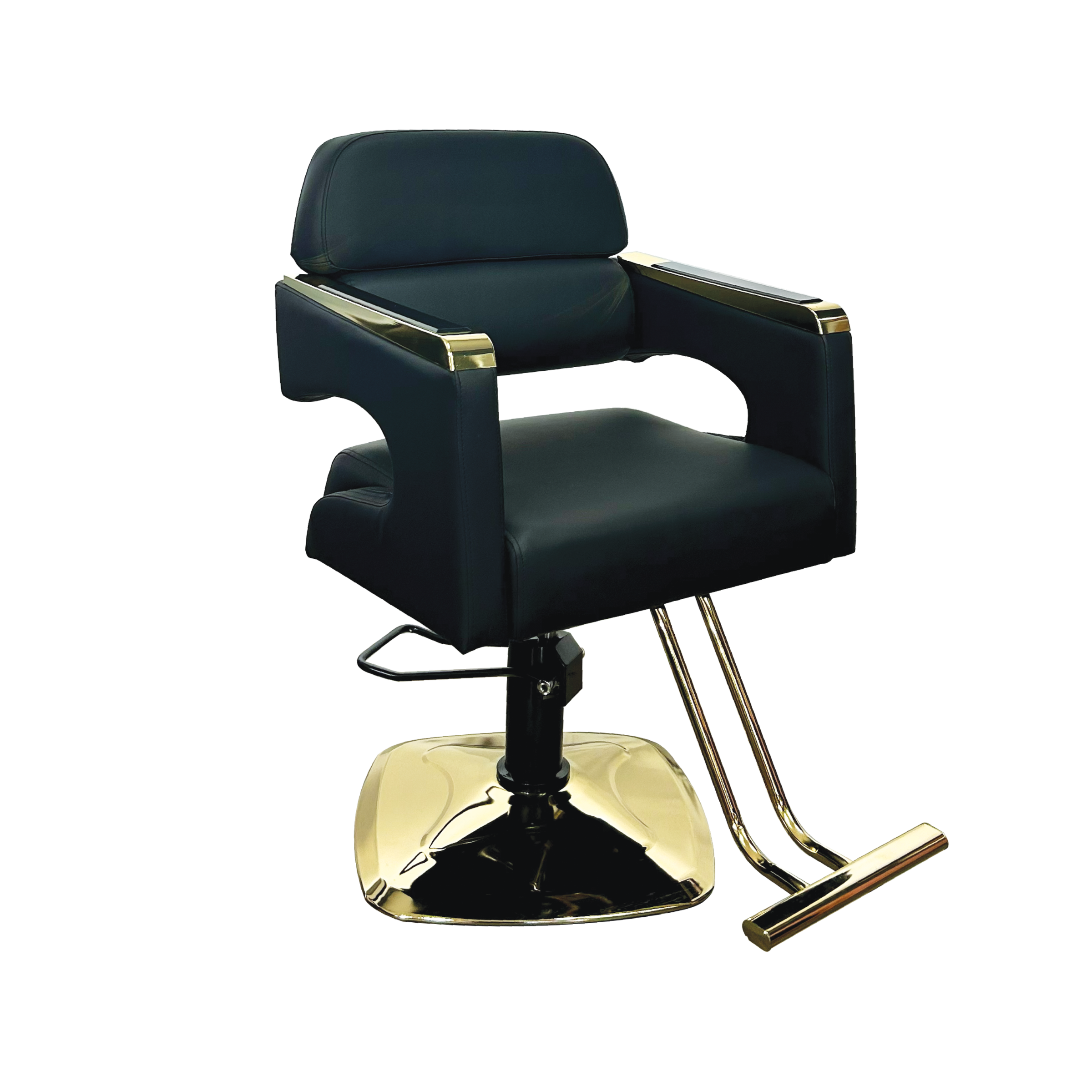 #S111G Styling Chair