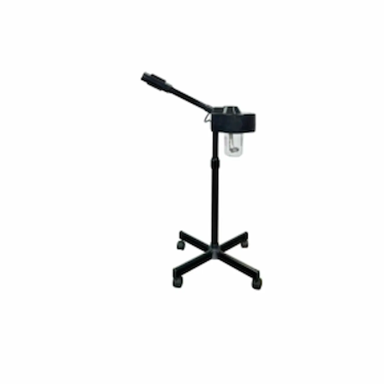 #DN9401 Professional Facial Steamer