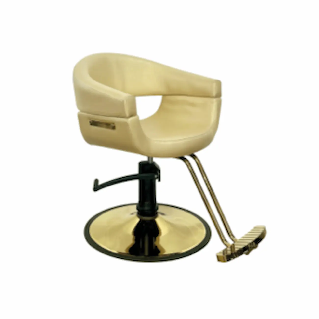 #1067BG Styling Chair